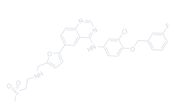 Jiangsu Besd Novum Material Co., Ltd.